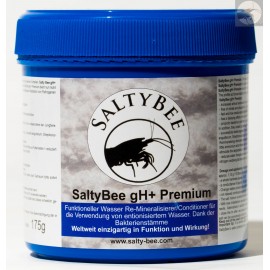 SaltyBee gh + premium 550 gram